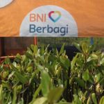 Rahasia BNI Selamatkan Pesisir Indonesia
