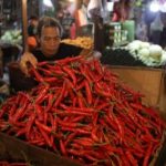 Harga Pangan Anjlok BPS Ungkap Fakta Mengejutkan