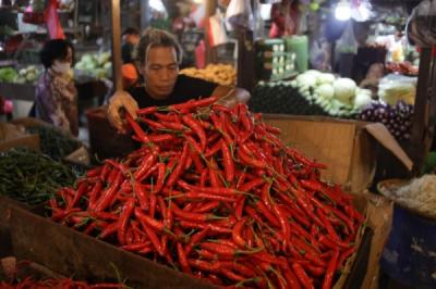 Harga Pangan Anjlok BPS Ungkap Fakta Mengejutkan
