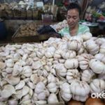 Bawang Putih Impor Bakal Tamat Ini Rencana RI