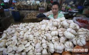 Bawang Putih Impor Bakal Tamat Ini Rencana RI
