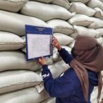 Heboh Stok Beras RI Tembus 5 Juta Ton Ini Detailnya