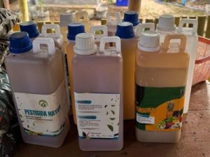 Sampah Organik Jadi Cuan Melimpah Rahasia Ini Terbongkar