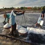 Proyek Garam Raksasa Rote Ndao Demi Swasembada