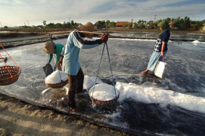 Proyek Garam Raksasa Rote Ndao Demi Swasembada