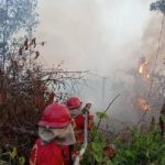 Geger Karhutla 6 Perusahaan Kena Sanksi