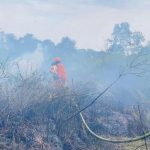 Bukan Hanya El Nino Ini Biang Kerok Karhutla