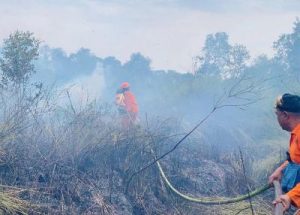 Skandal Karhutla 6 Perusahaan Dihukum Berat