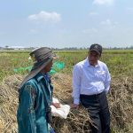 Terobosan Mentan Bikin Buruh Tani Senyum Lebar