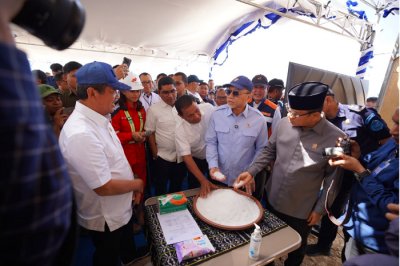 Proyek Udang Raksasa Waingapu Bikin Kaget
