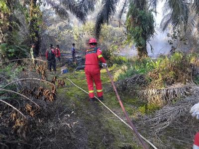 Jambi Membara Blok Migas Bergerak Cepat