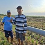 Pipa Ajaib Ubah Sawah Kering Panen Tiga Kali