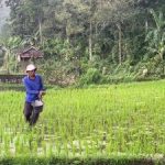 Strategi Baru Ekonomi Hijau Indonesia Terkuak