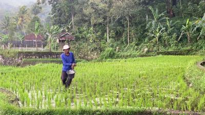 Strategi Baru Ekonomi Hijau Indonesia Terkuak