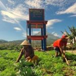 Terungkap Daya Beli Petani Justru Menguat