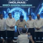 Terungkap Target Gila Prabowo 100 GW PLTS