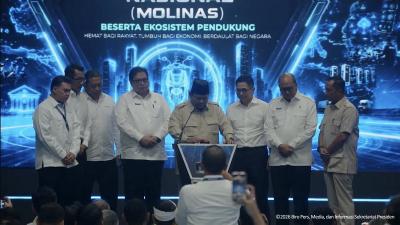 Terungkap Target Gila Prabowo 100 GW PLTS