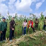 Cianjur Gempar Bank Tanah Ubah Nasib Petani
