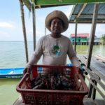 Petambak Ini Ungkap Rahasia Panen Udang Dobel