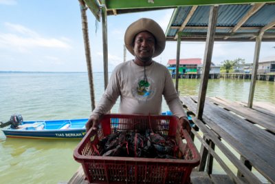 Petambak Ini Ungkap Rahasia Panen Udang Dobel