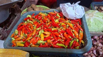 Harga Cabai Rawit Meroket Pemerintah Punya Jurus