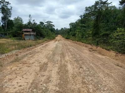 Jalan Miri Papua Selatan Berubah Drastis