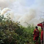 JANGAN KAGET Aturan Baru Bakar Lahan
