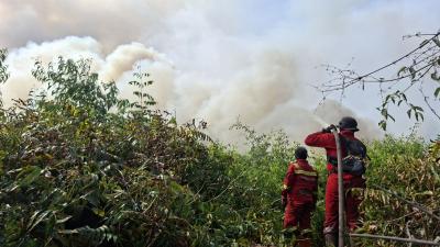 JANGAN KAGET Aturan Baru Bakar Lahan