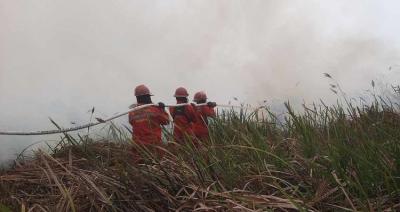 Sanksi Tegas Perusahaan Pembakar Hutan
