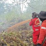 Prabowo Soroti Bahaya Karhutla di Lahan Gambut
