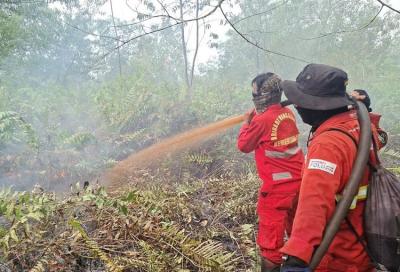 Prabowo Soroti Bahaya Karhutla di Lahan Gambut