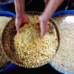 Impor Kedelai RI Bakal Tamat Ini Caranya