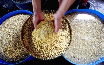 Impor Kedelai RI Bakal Tamat Ini Caranya
