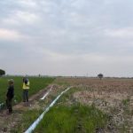 600 Hektare Sawah di Bekasi Terancam Kekeringan