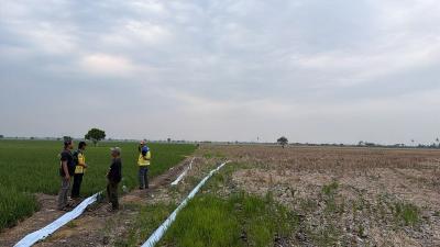 600 Hektare Sawah di Bekasi Terancam Kekeringan