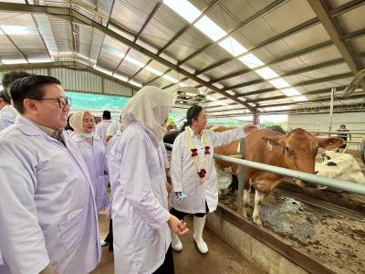 Target Swasembada Susu Nasional 2030