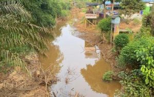 Keringnya Mahakam Bikin Ongkos Batu Bara Meroket