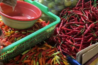 Harga Pangan Melonjak Waspada Belanja Anda