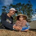 BRI Kucurkan Rp144 Triliun untuk UMKM