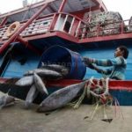 Ekspansi Pasar Baru Produk Perikanan RI