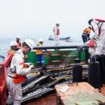 Strategi Tiga Negara Atasi Tumpahan Minyak